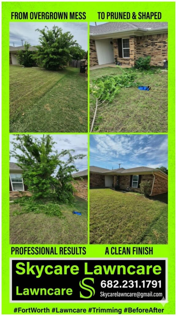 Skycare Lawncare tree trimming and branch removal service in Watauga Texas for a rental property landlord maintenance cleanup