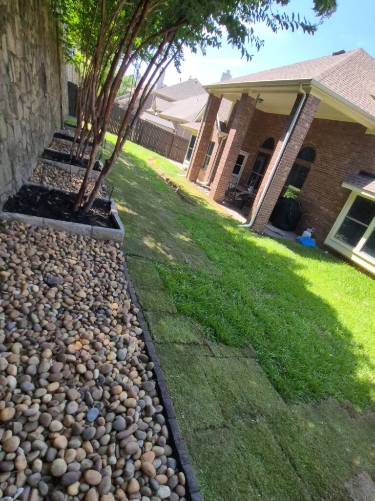 St. Augustine sod with Dorado rock border, fresh black mulch, and cleaned flower bed in Marshall Ridge Keller Texas